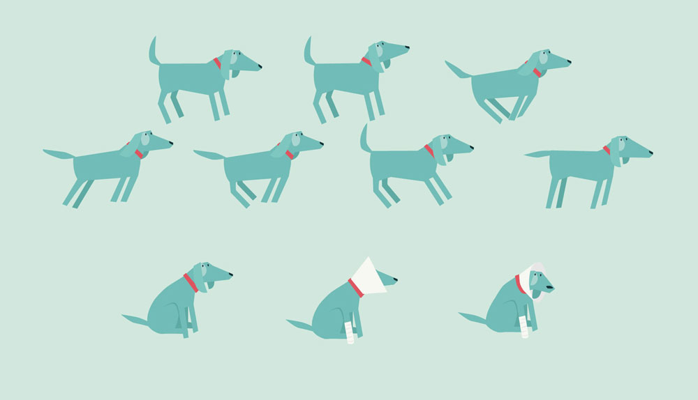 Dogs_Web